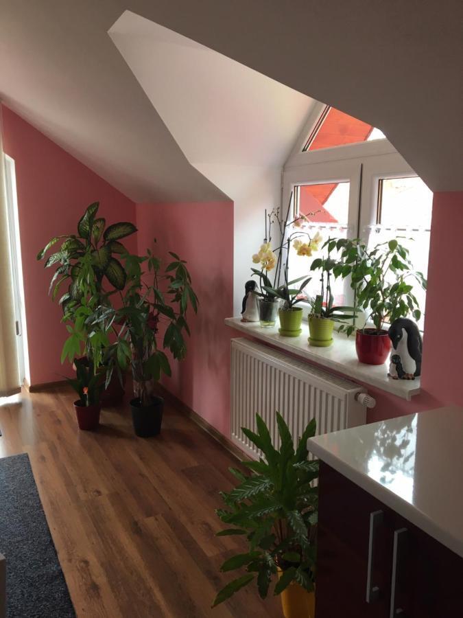 Privat Daniela Strba Appartement Buitenkant foto
